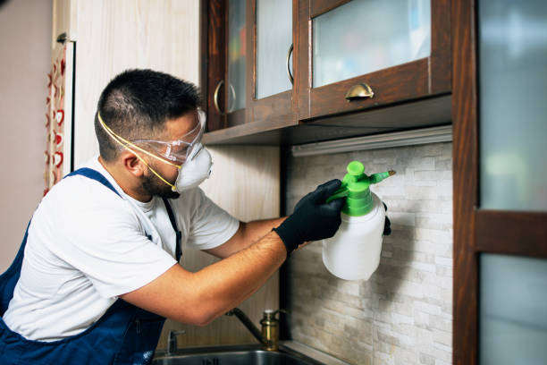 Best Local Pest Control Services  in Angola, NY
