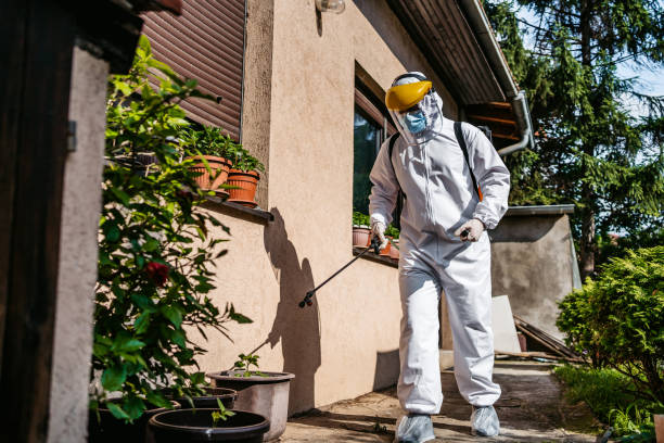 Best Termite Control Services  in Angola, NY