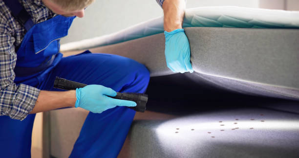 Best Flea Control Services  in Angola, NY