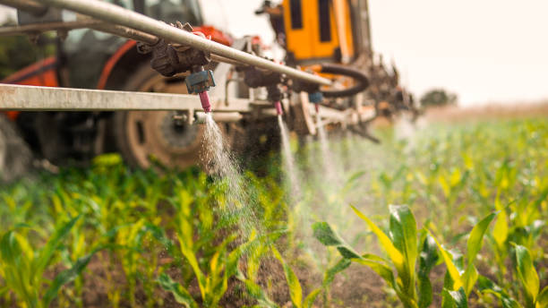 Best Pest Prevention Services  in Angola, NY